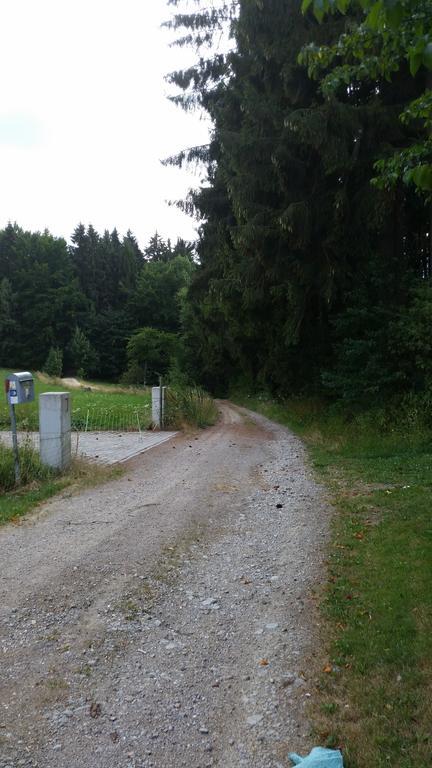 Waldgasthof - Hotel Schiederhof Wiesenfelden Zewnętrze zdjęcie